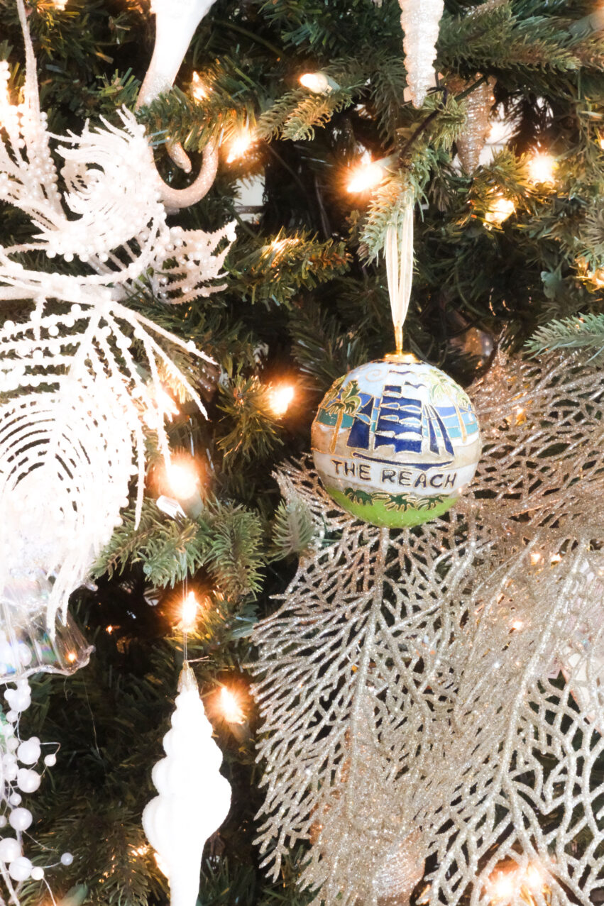 Photo Nov 14 2024 2 49 50 Pm