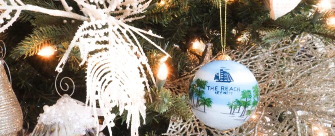 The Reach Christmas Ornament